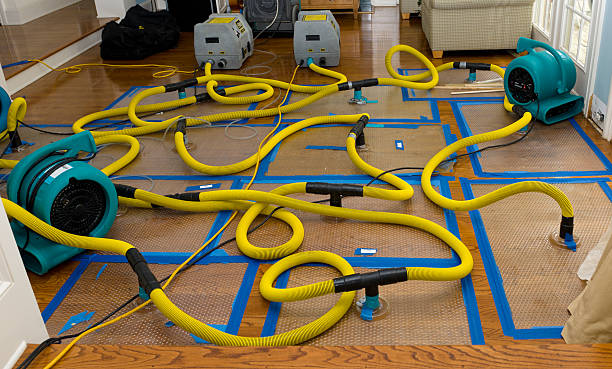 Professional Water Extraction technician working in Livingston, NJ